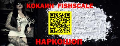 твердый Сланцы