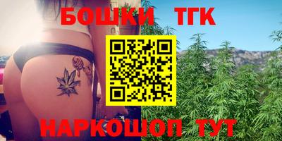 твердый Сланцы