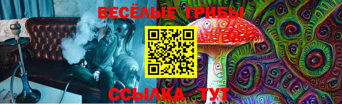 Октябрьский  сколько стоит  Вход с VPN  Галлюциногенные грибы MAGIC MUSHROOMS  Псилоцибиновые грибы Psilocybe 